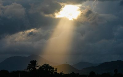 La iglesia y el mundo necesitan testigos.