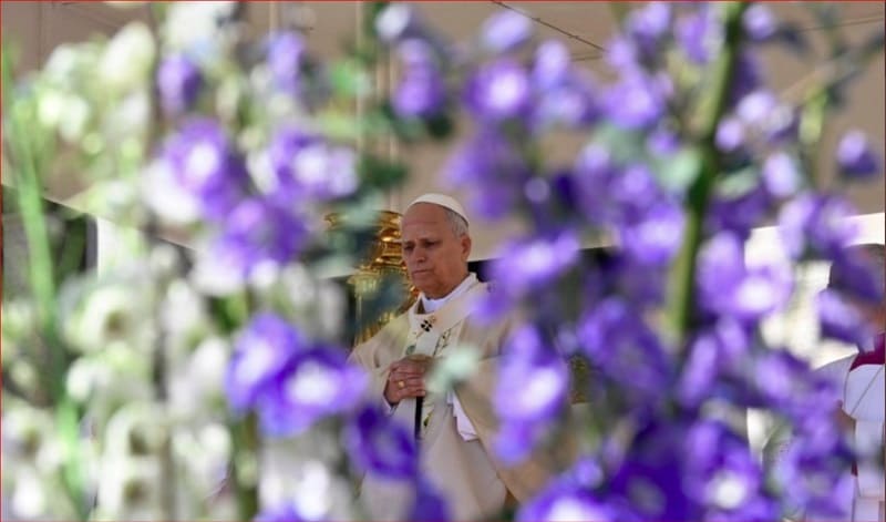 El Papa clama por la paz